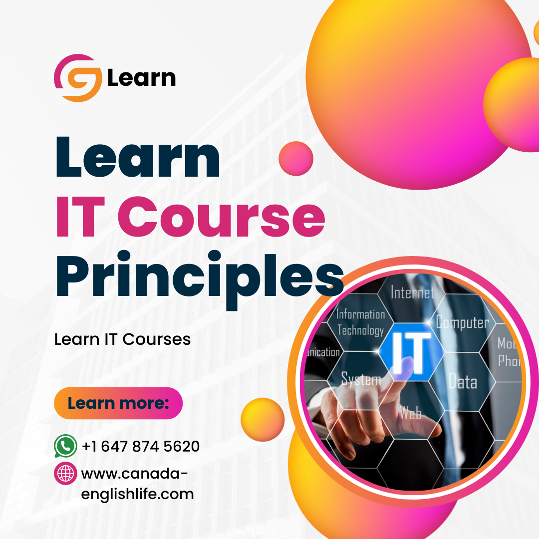 Information Technology Courses